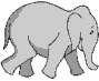 running-elephant
